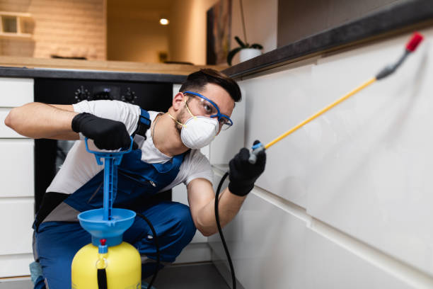 Best Pest Prevention Services  in Excelsior Springs, MO