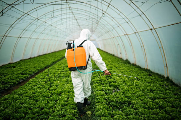 Best Pest Removal Services  in Excelsior Springs, MO
