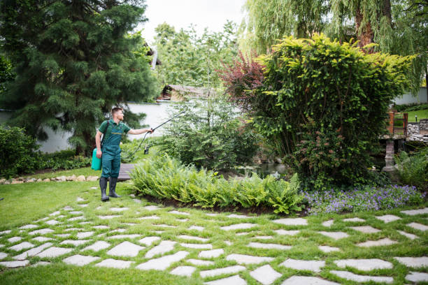 Best Best Pest Control Companies  in Excelsior Springs, MO
