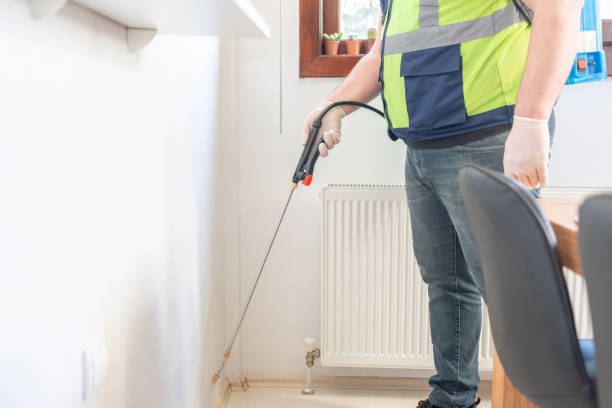 Best Affordable Pest Control Services  in Excelsior Springs, MO