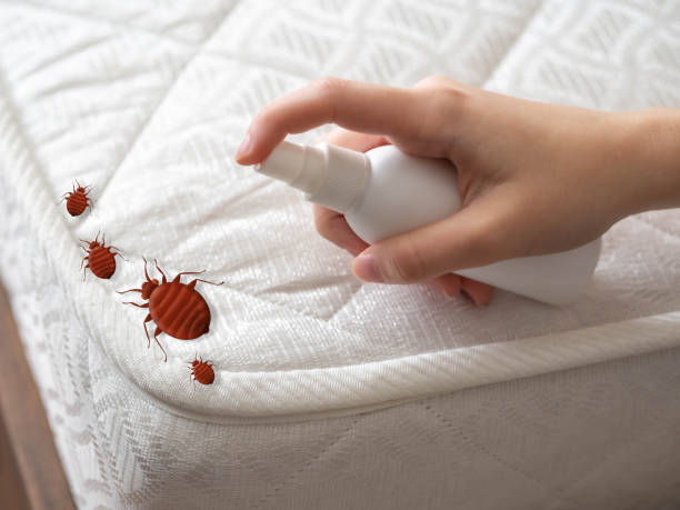 Best Exterminator Services  in Excelsior Springs, MO
