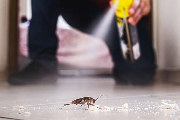 Pest Control Cost in Excelsior Springs, MO